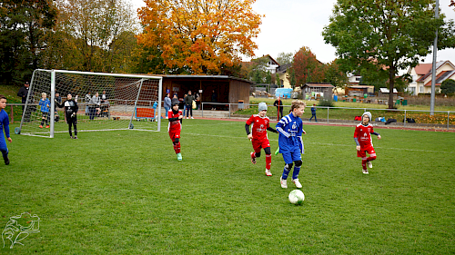 E-Jugend-Spieltag in Westhausen – Fußball und gute Stimmung